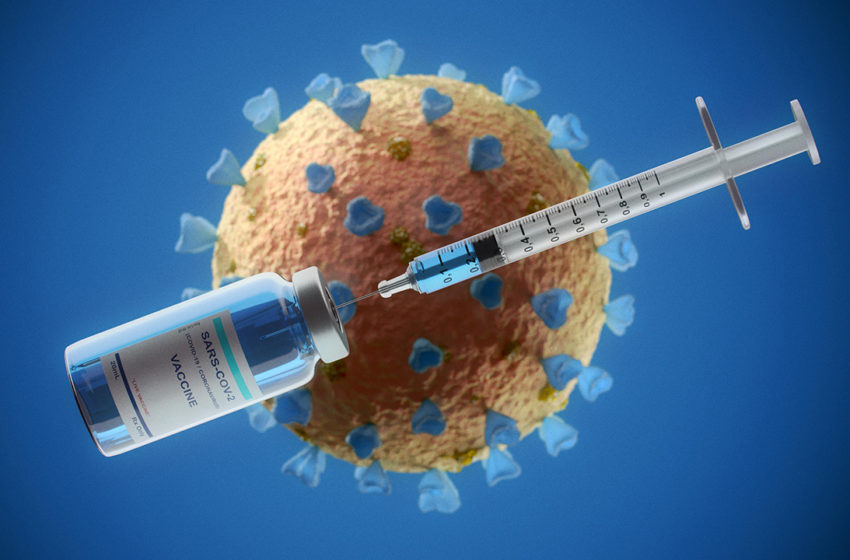  Des anticorps prélevés sur les lamas ont la faculté de neutraliser le virus SARS-CoV-2