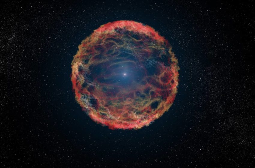  Une supernova à l’origine d’une extinction de masse de notre histoire