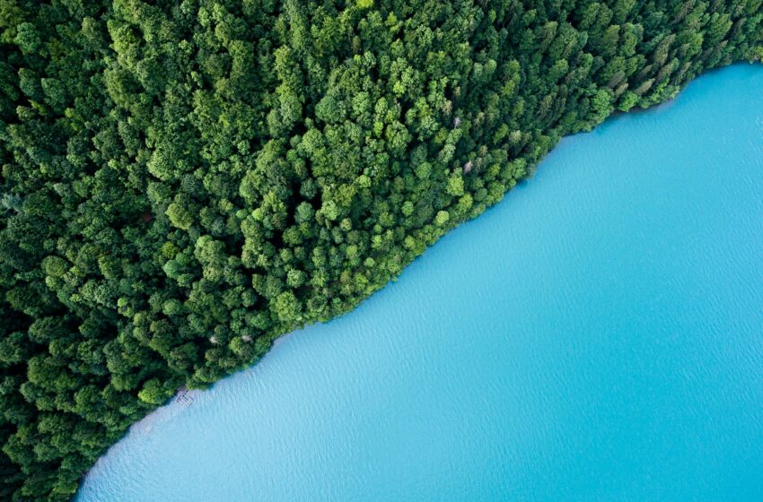 Blue lake and green shore